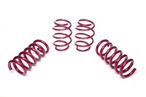 Sport Lowering Springs Cupra Tavascan