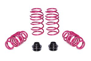Coilover Spring Kit Audi A3