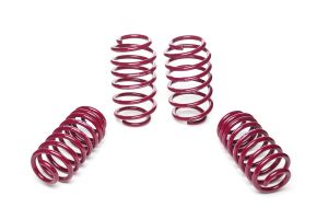 Vogtland Sport Lowering Springs Audi TT