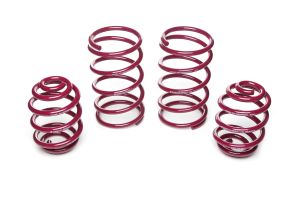 Vogtland Sport Lowering Springs BMW 3er, E21