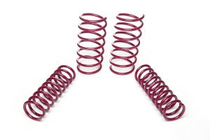 Vogtland Sport Lowering Springs BMW 5er, E34