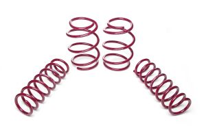 Vogtland Sport Lowering Springs BMW 5er, E39