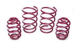 Vogtland Sport Lowering Springs BMW 3er, E36