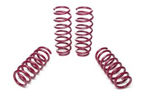 Vogtland Sport Lowering Springs BMW 5er, F10