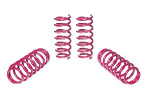 Vogtland Sport Lowering Springs BMW 5er, G30