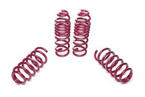 Vogtland Sport Lowering Springs Mercedes Benz C-Klasse