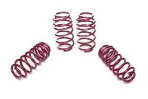 Vogtland Sport Lowering Springs Skoda Superb