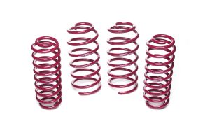 Vogtland Sport Lowering Springs Seat Leon
